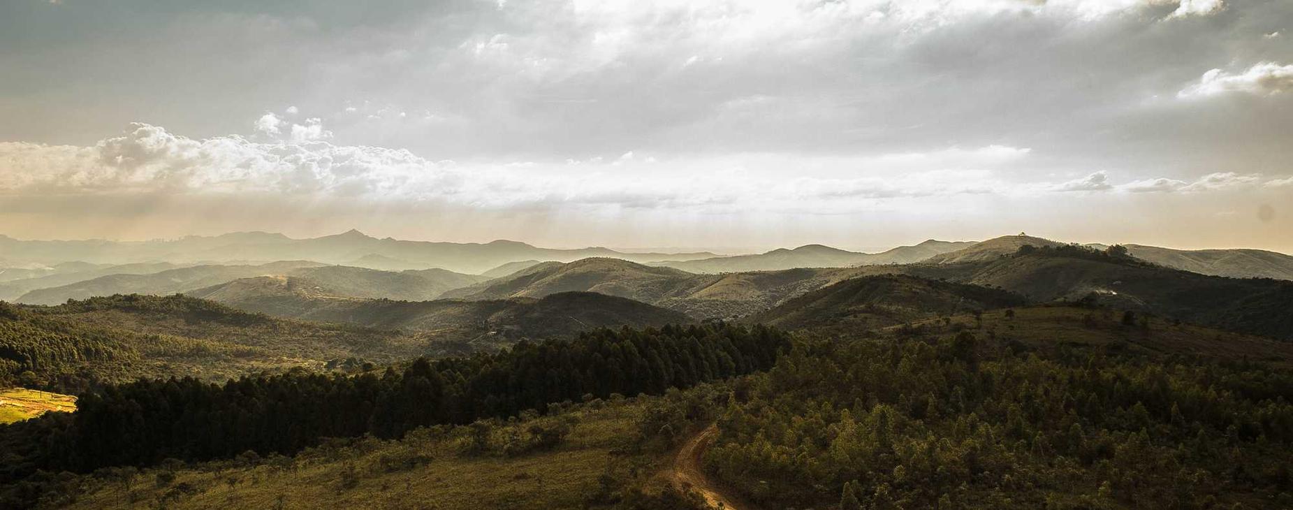 如何在游戏中识别技术支持辅助？