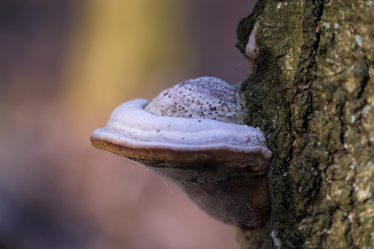 学生抽烟——危险的习惯