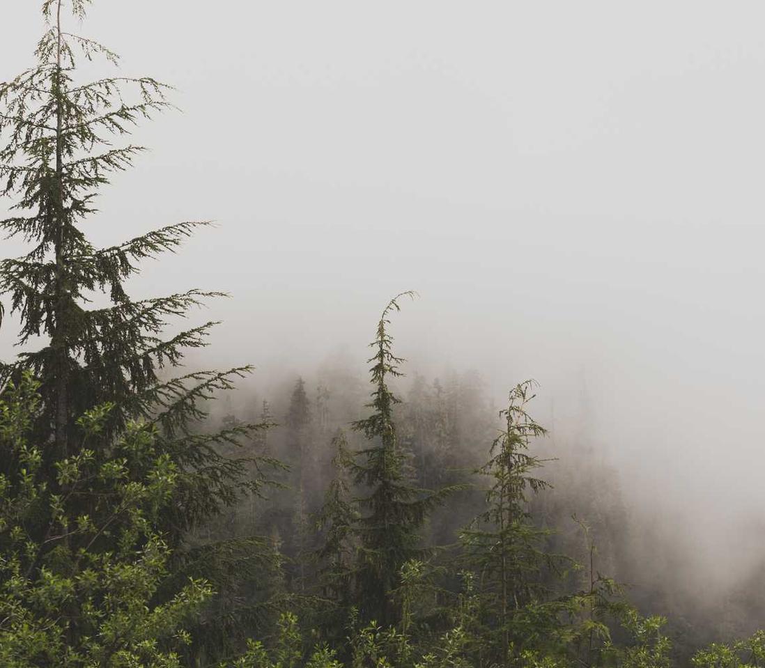 短信和社交媒体结合强强联手