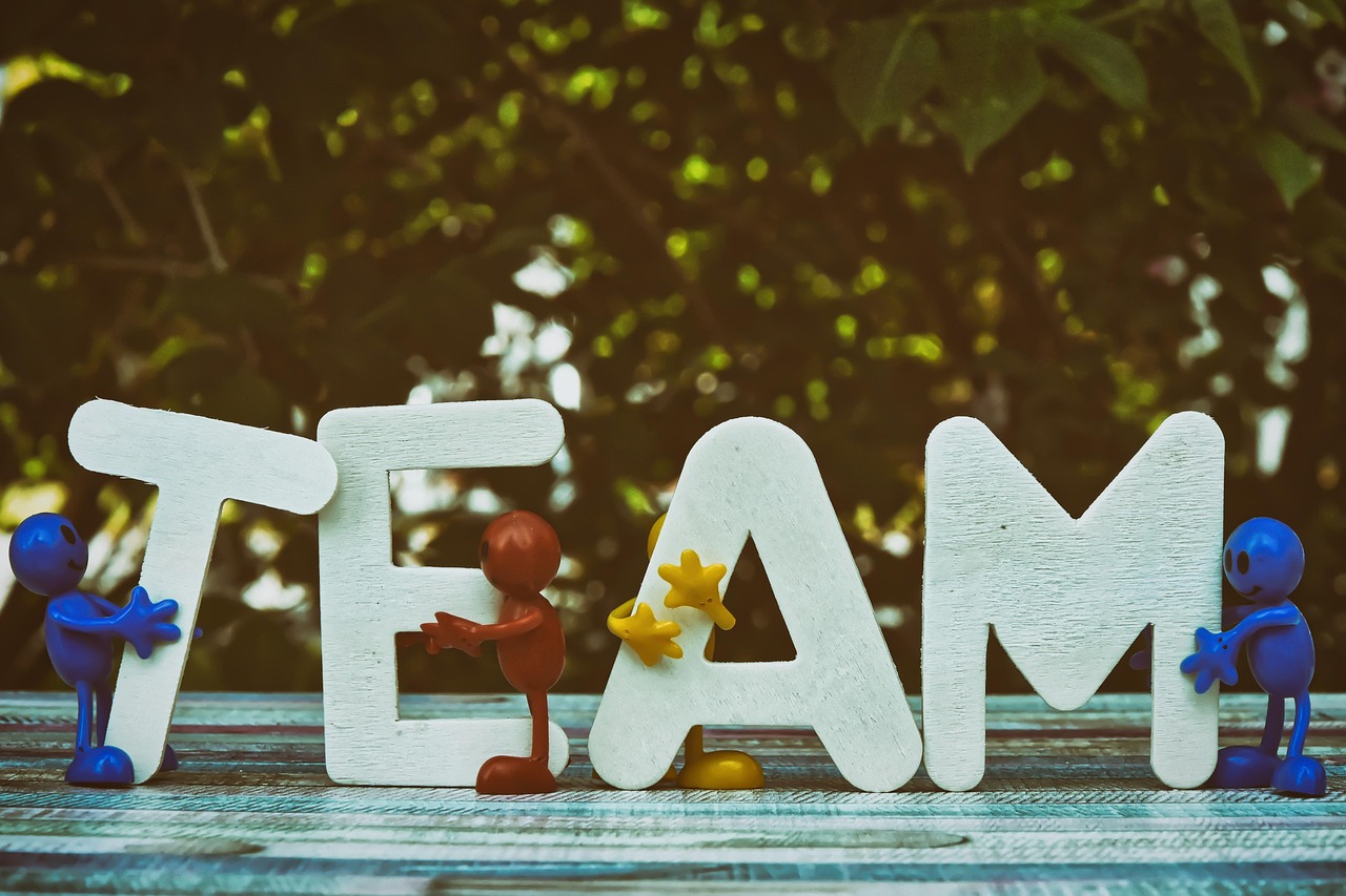 博希详情下载教程cc t app