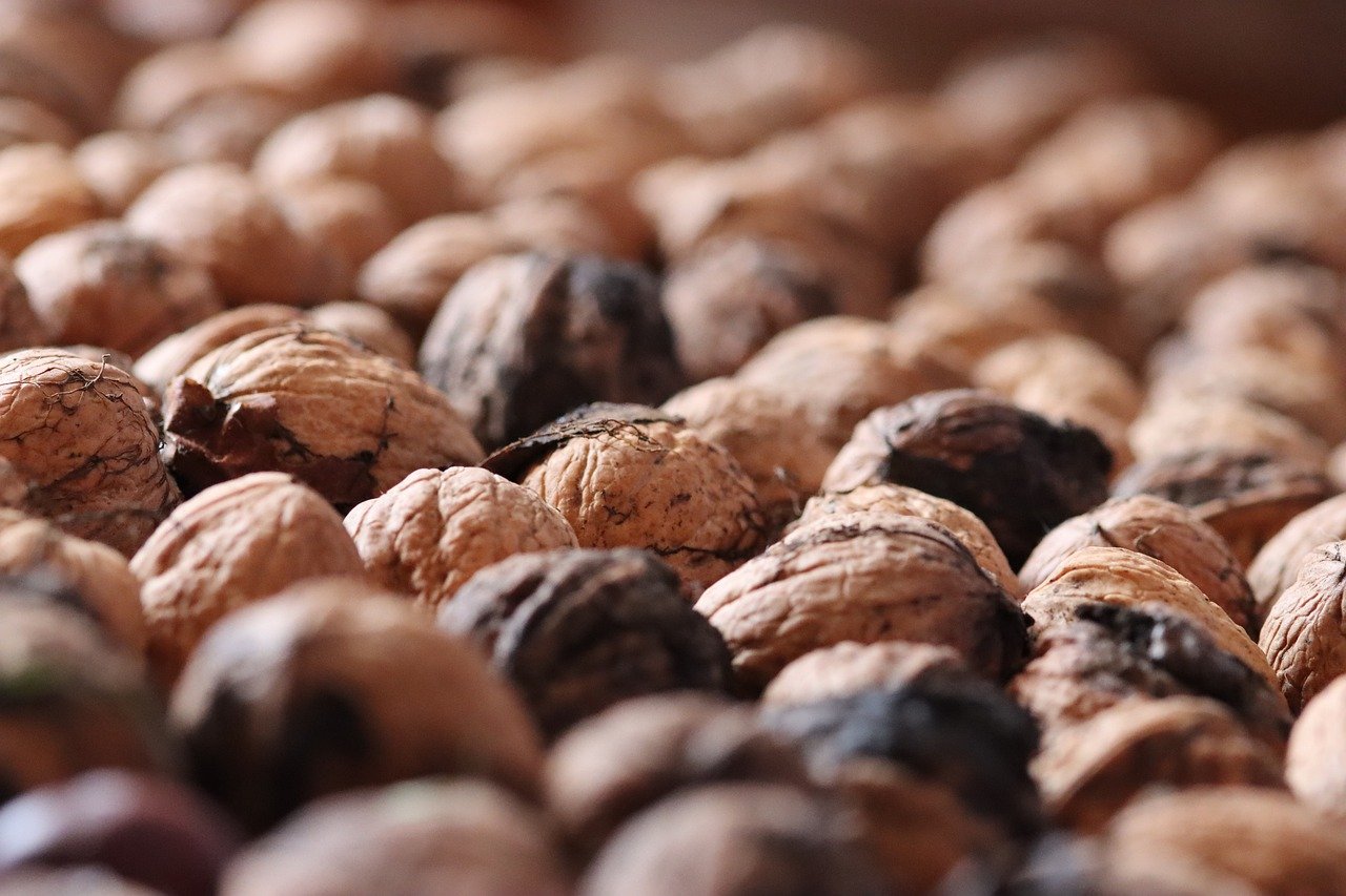 女神联盟2:腾达无线路由器注册账号