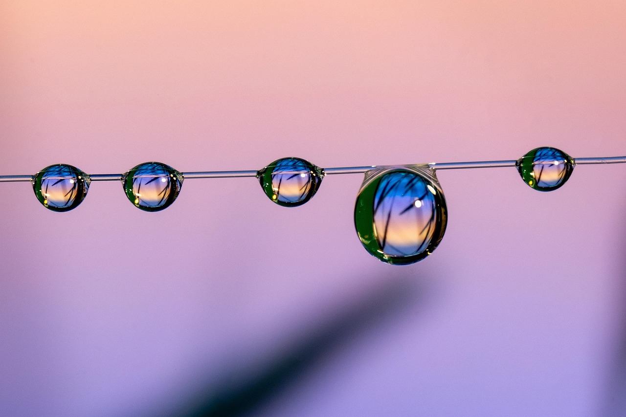 干脆贷app详情下载教程